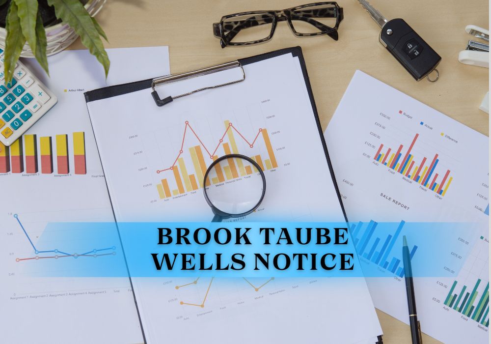 Brook Taube Wells Notice An Extensive Examination of Regulatory Difficulties
